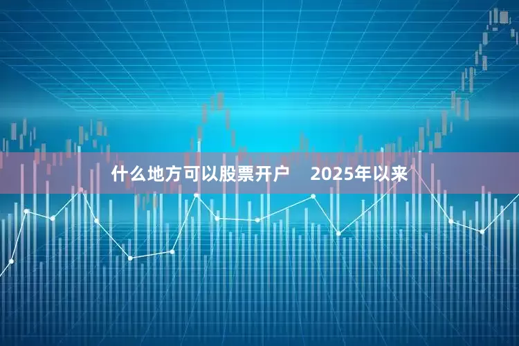 什么地方可以股票开户    2025年以来